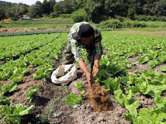 agricultura