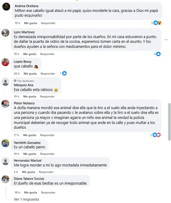 Mensajes de otras personas que han sido víctimas de ataques de caballos en Comayagua