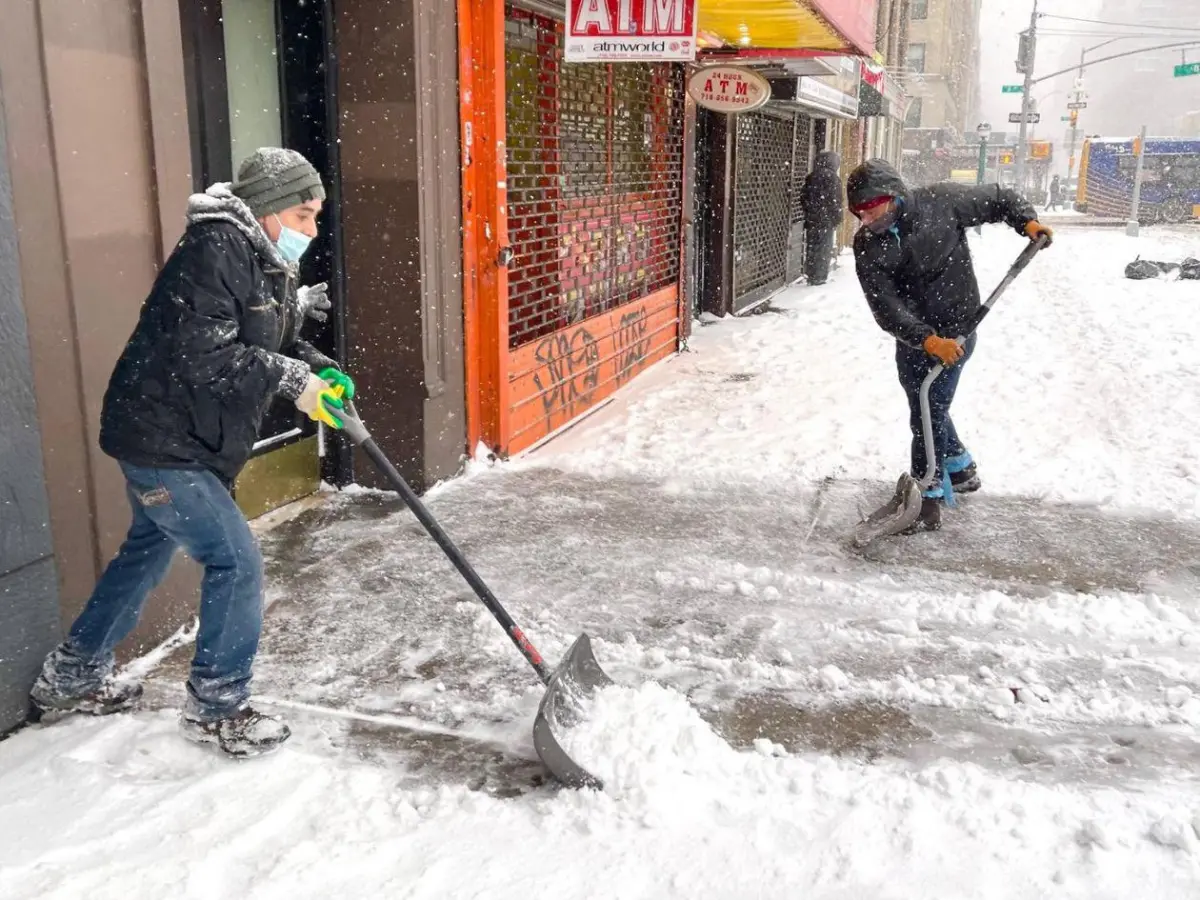 Nieve