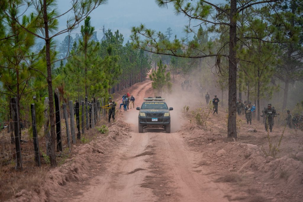 la deforestación
