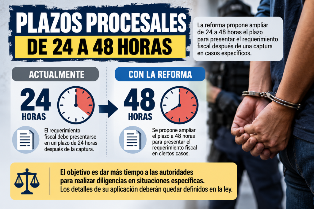 plazos procesales