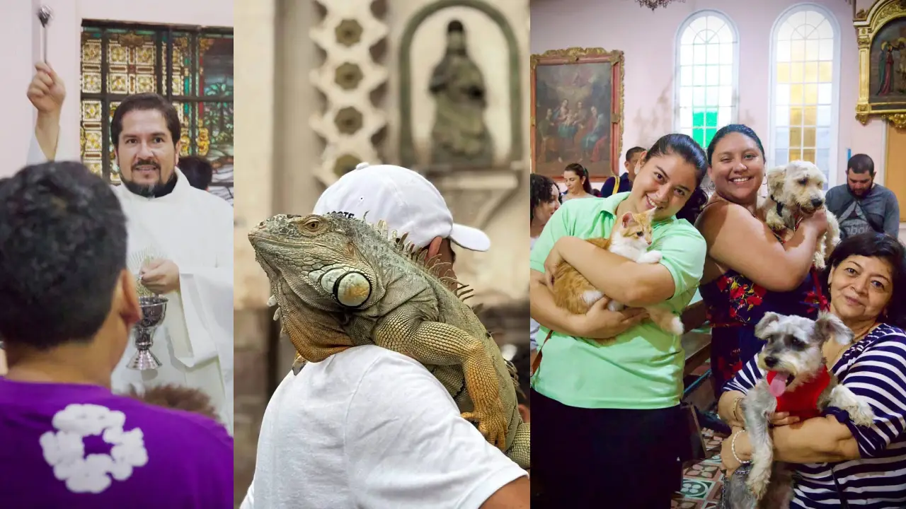 Perros, loros, tortugas y hasta iguanas reciben bendición en Tegucigalpa Imagen de Perros, loros, tortugas y hasta iguanas reciben bendición en Tegucigalpa