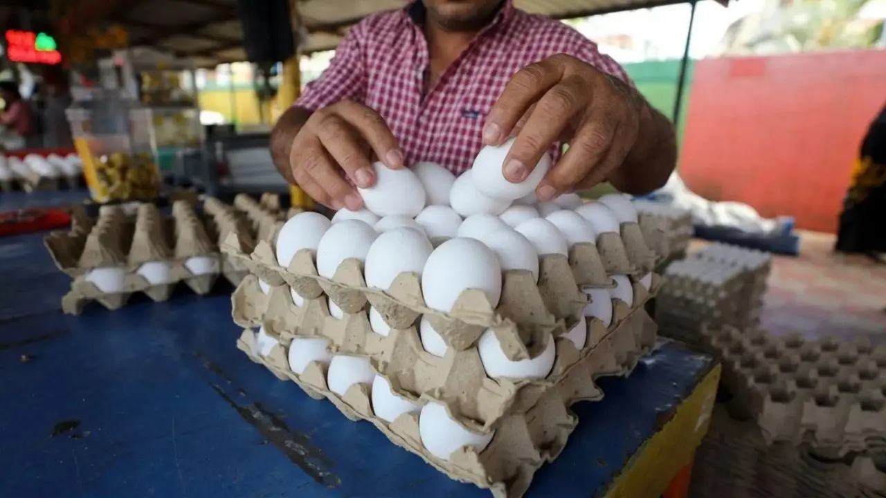 Cartón de huevos baja 5 lempiras en Tegucigalpa, pero hay pocas existencias Imagen de Cartón de huevos baja 5 lempiras en Tegucigalpa, pero hay pocas existencias
