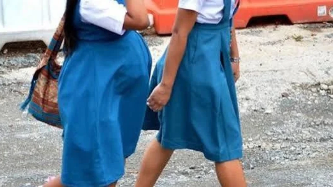CN declara ineficaz publicación de la Ley de Prevención de Embarazo Adolescente Imagen de CN declara ineficaz publicación de la Ley de Prevención de Embarazo Adolescente