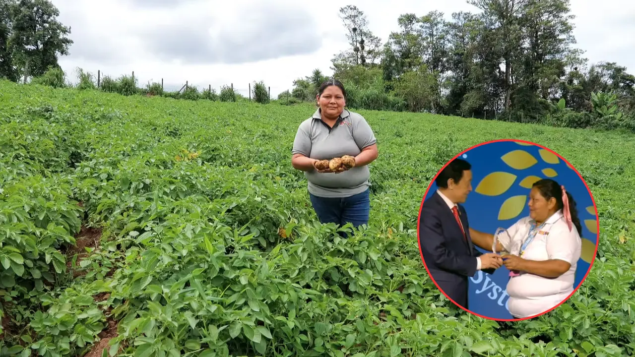 Hondureña es reconocida por la Fao como una de las '100 heroínas de la agricultura' Imagen de Hondureña es reconocida por la Fao como una de las '100 heroínas de la agricultura'