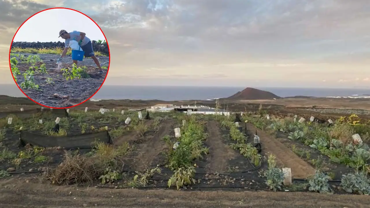 España ofrece hospedaje gratis en una finca a cambio de trabajo rural Imagen de España ofrece hospedaje gratis en una finca a cambio de trabajo rural