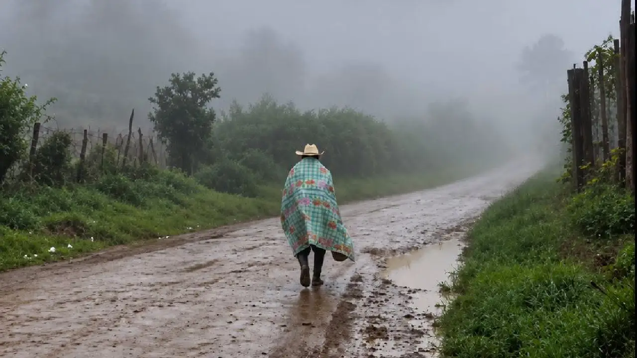 Imagen de Temperaturas de 11 y 15 grados en Honduras: ¿qué provoca el frío?