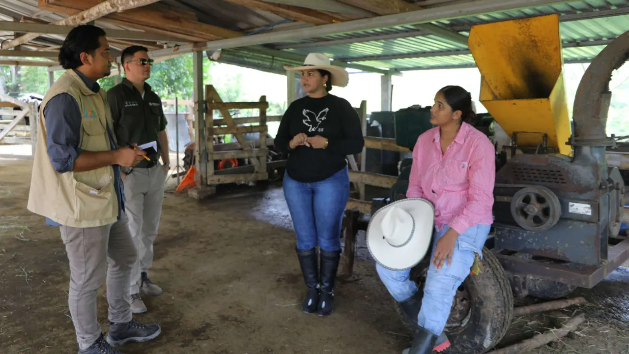 De la ciudad al campo: hermanas impulsan la ganadería sostenible en Honduras Imagen de De la ciudad al campo: hermanas impulsan la ganadería sostenible en Honduras