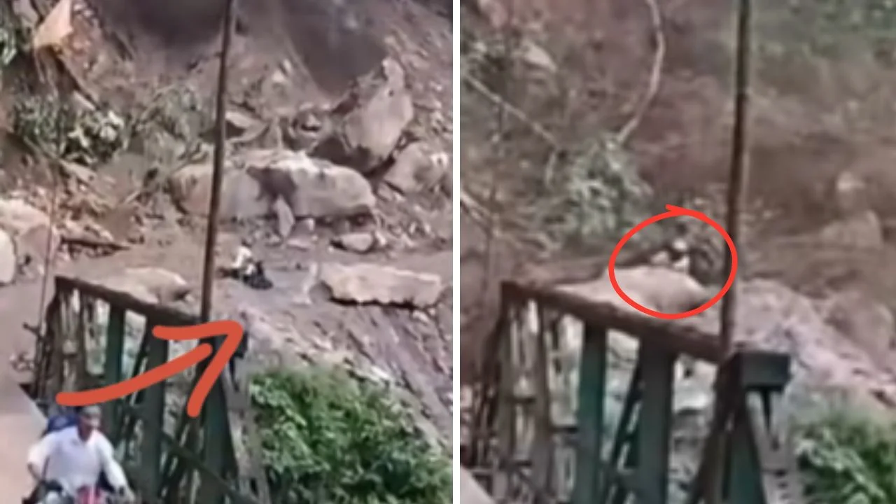 ¡Se salvó de milagro! Hombre estuvo a punto de ser soterrado por un deslave Imagen de ¡Se salvó de milagro! Hombre estuvo a punto de ser soterrado por un deslave