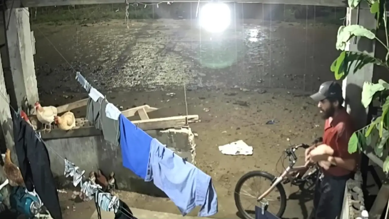 Imagen Principal de Nota: Video muestra a hombre robando una gallina en Sonaguera, Colón