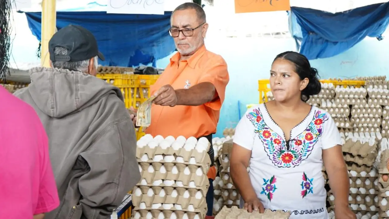 Comer huevos se volvió más caro: cartón sube hasta L20 en San Pedro Sula Imagen de Comer huevos se volvió más caro: cartón sube hasta L20 en San Pedro Sula