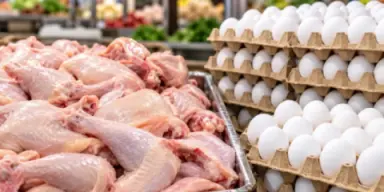 Imagen de Pollo y huevos habrá en Honduras, pero avicultores advierten de más alzas