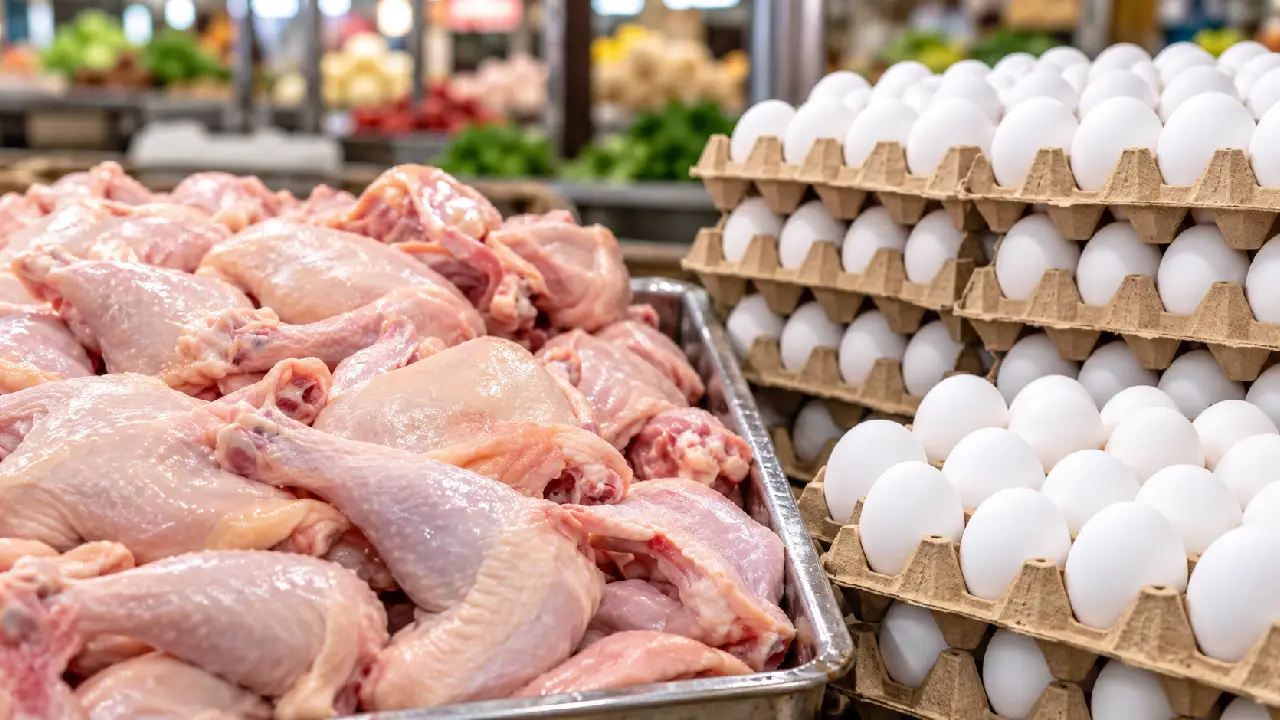 Pollo y huevos habrá en Honduras, pero avicultores advierten de más alzas Imagen de Pollo y huevos habrá en Honduras, pero avicultores advierten de más alzas