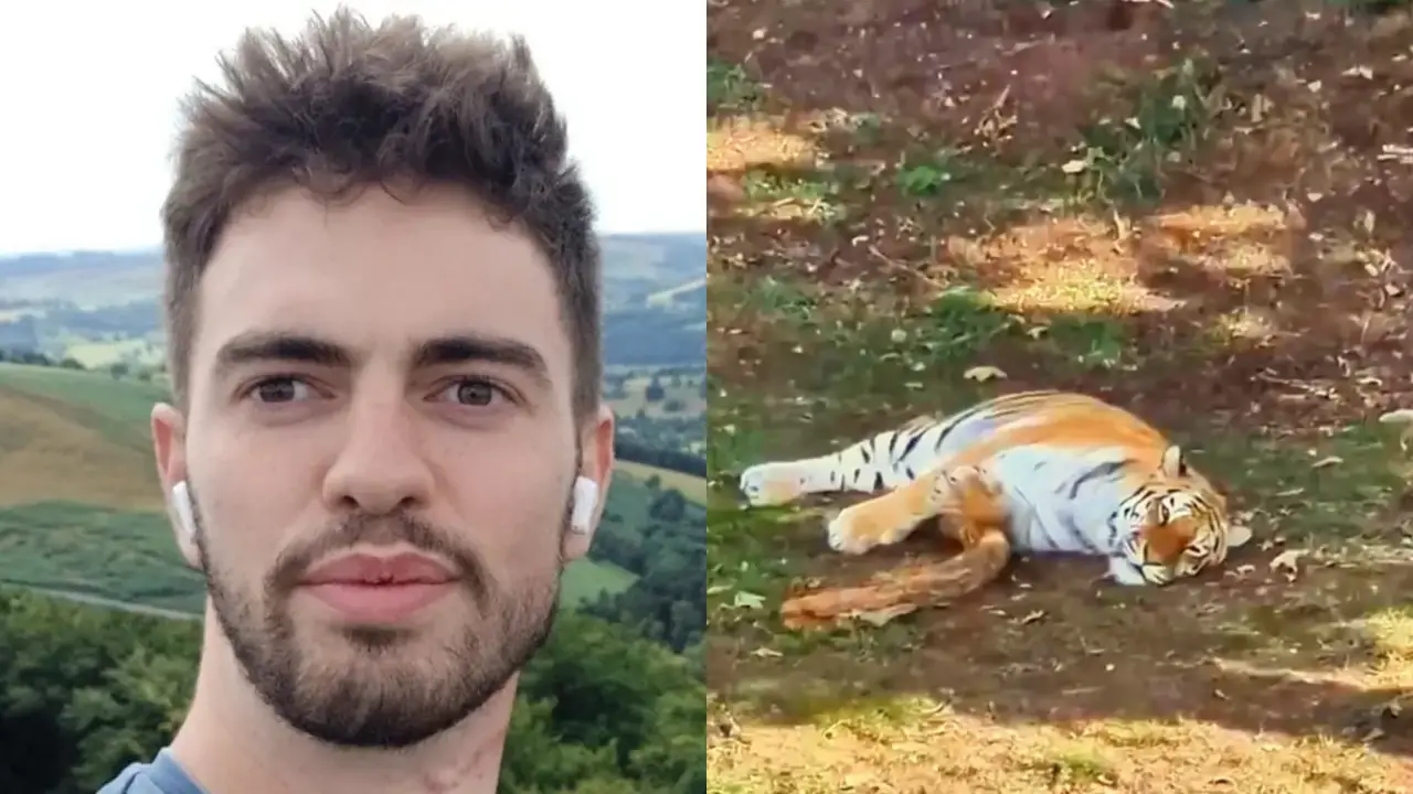Revelan condición médica de joven que se metió a jaula de tigre Imagen de Revelan condición médica de joven que se metió a jaula de tigre