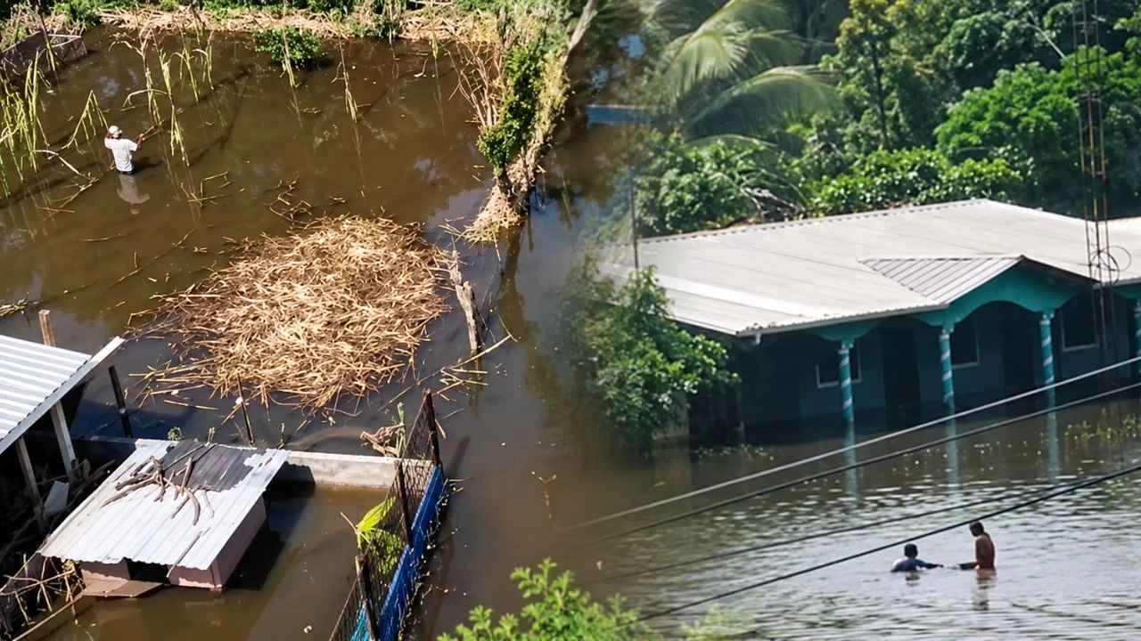 El lago de Yojoa recupera agua y terrenos, pero familias pierden paz y cultivos Imagen de El lago de Yojoa recupera agua y terrenos, pero familias pierden paz y cultivos