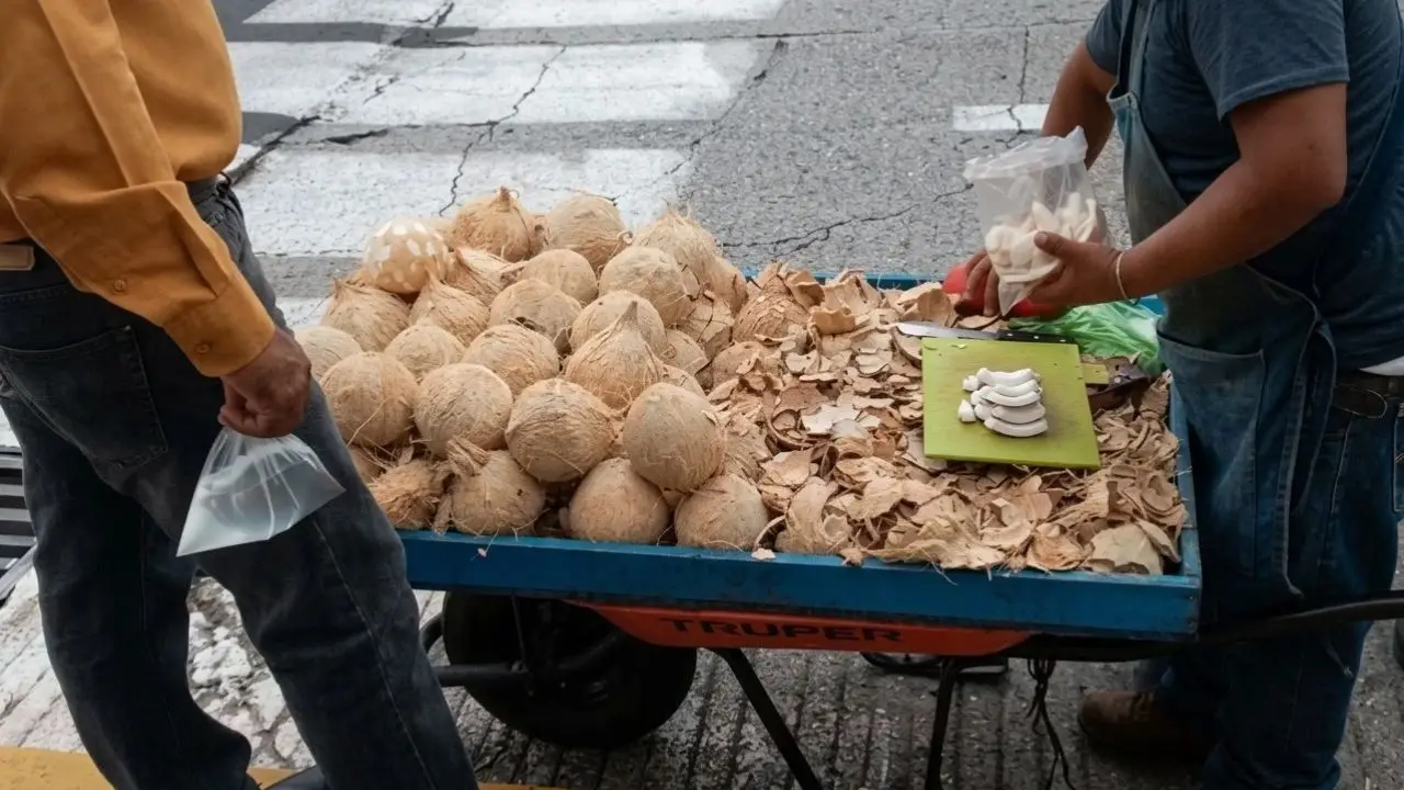 Mientras compraba cocos: detienen a ciudadano por posesión de sustancias en Choluteca Imagen de Mientras compraba cocos: detienen a ciudadano por posesión de sustancias en Choluteca