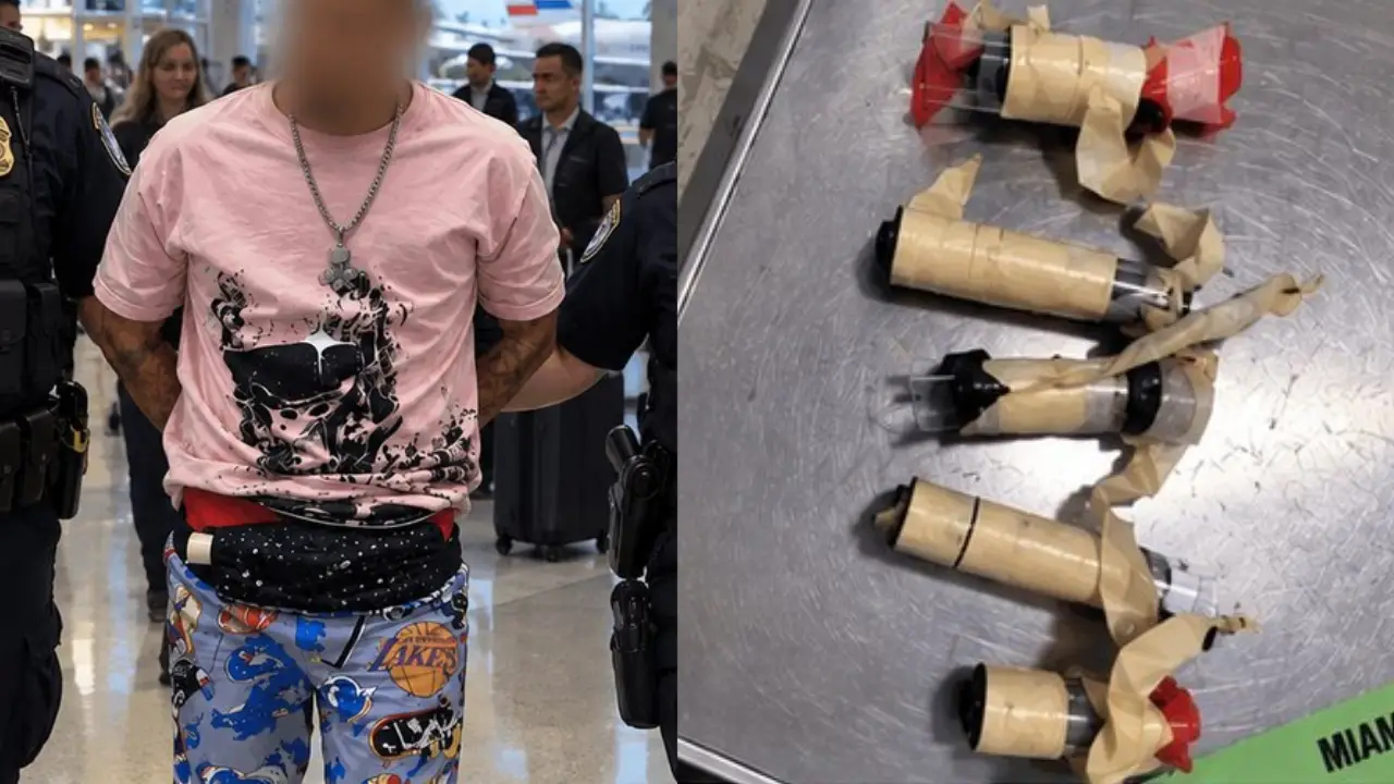 Imagen de 'Bulto inexplicable' delata a pasajero: llevaba 10 aves vivas en su ropa interior