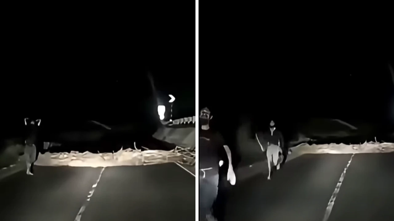 Video: Chofer de transporte pesado graba cómo querían asaltarlo Imagen de Video: Chofer de transporte pesado graba cómo querían asaltarlo