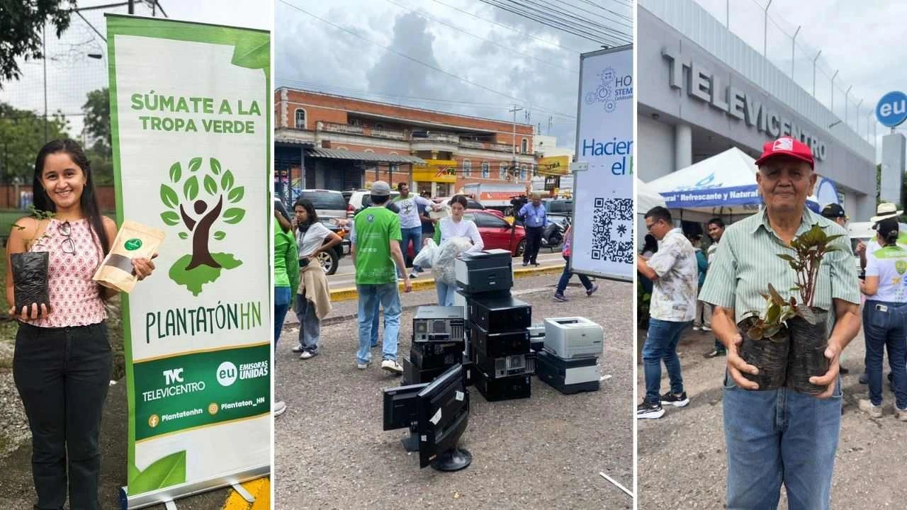 PlantatónHN sembró esperanza en dos ciudades con 4,500 arbolitos Imagen de PlantatónHN sembró esperanza en dos ciudades con 4,500 arbolitos