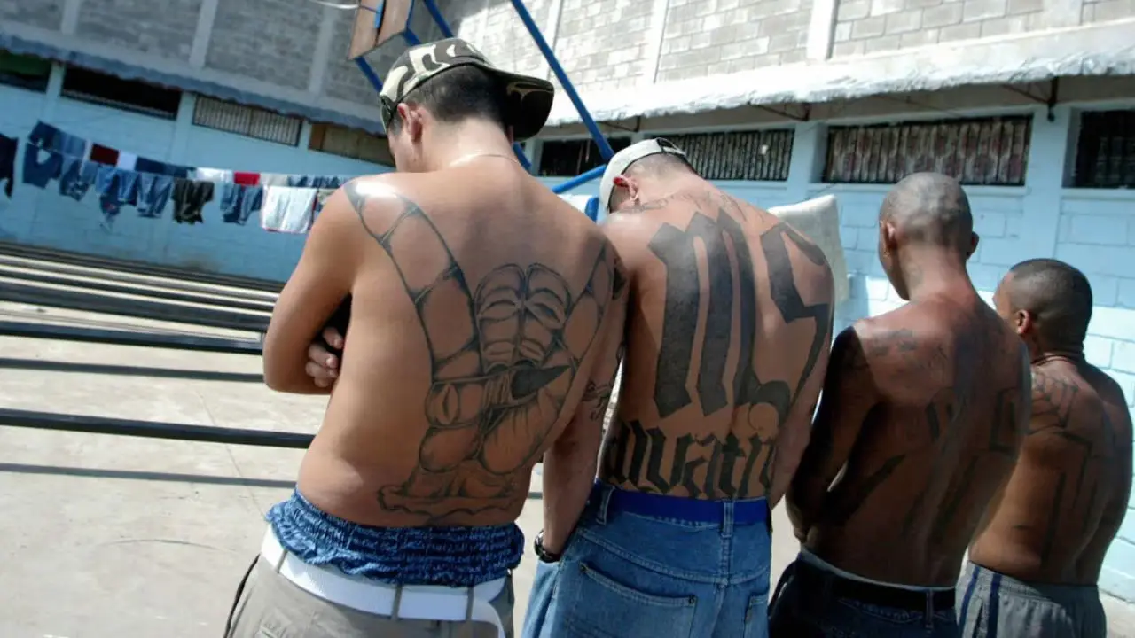 Policía explica cómo identificar tatuajes vinculados a pandillas en Honduras Imagen de Policía explica cómo identificar tatuajes vinculados a pandillas en Honduras
