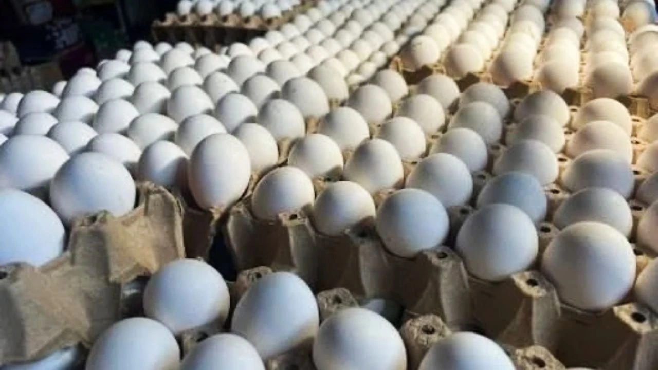 Imagen de Frenan parte del aumento del huevo, pero el bolsillo pagará más