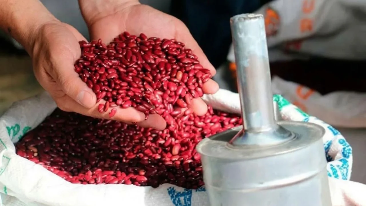 Productos de importación de Honduras: ¿Qué compra el país del extranjero? Imagen de Productos de importación de Honduras: ¿Qué compra el país del extranjero?