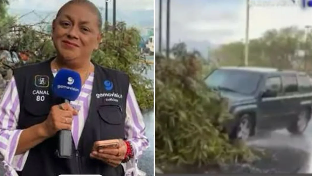 ¿Quién es Alma de la Rosa Flores, periodista que sufrió accidente en vivo? Imagen de ¿Quién es Alma de la Rosa Flores, periodista que sufrió accidente en vivo?
