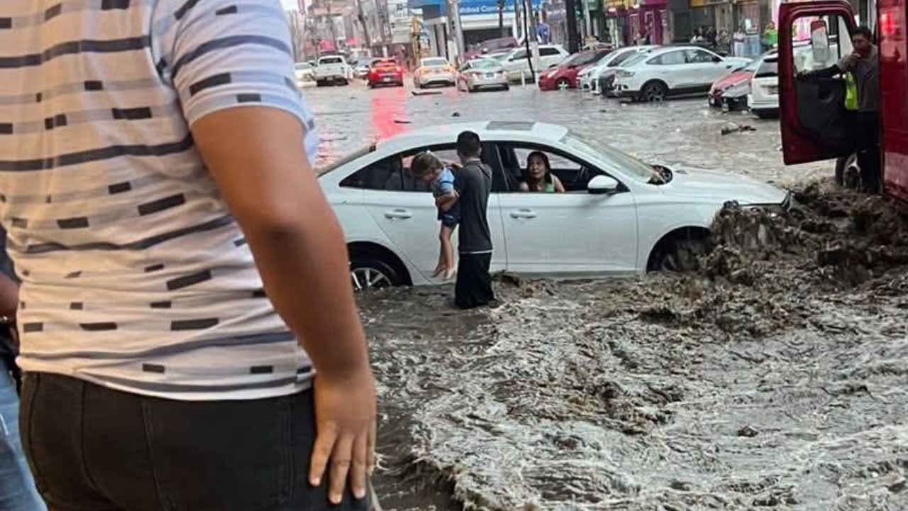 Empresario dará comida de por vida a quienes salvaron a su familia de inundaciones Imagen de Empresario dará comida de por vida a quienes salvaron a su familia de inundaciones
