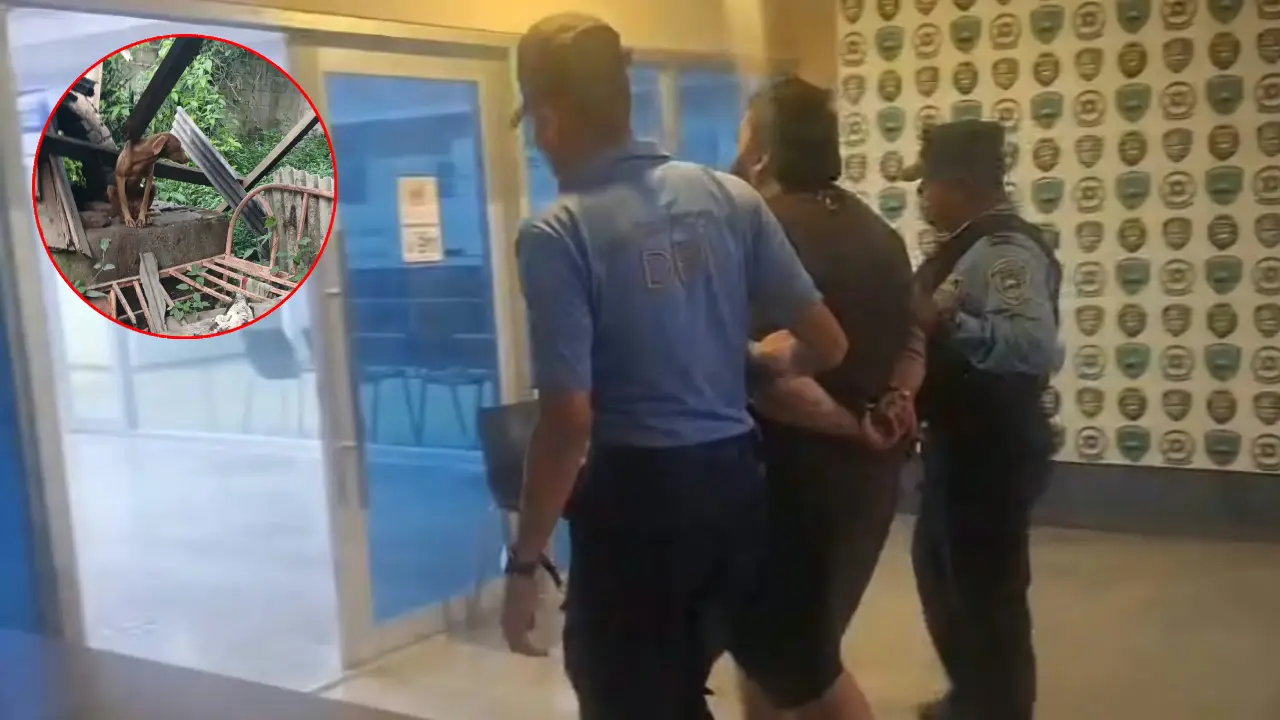 'Nos ha afectado': chef hondureño rompe el silencio tras acusación contra su negocio Imagen de 'Nos ha afectado': chef hondureño rompe el silencio tras acusación contra su negocio