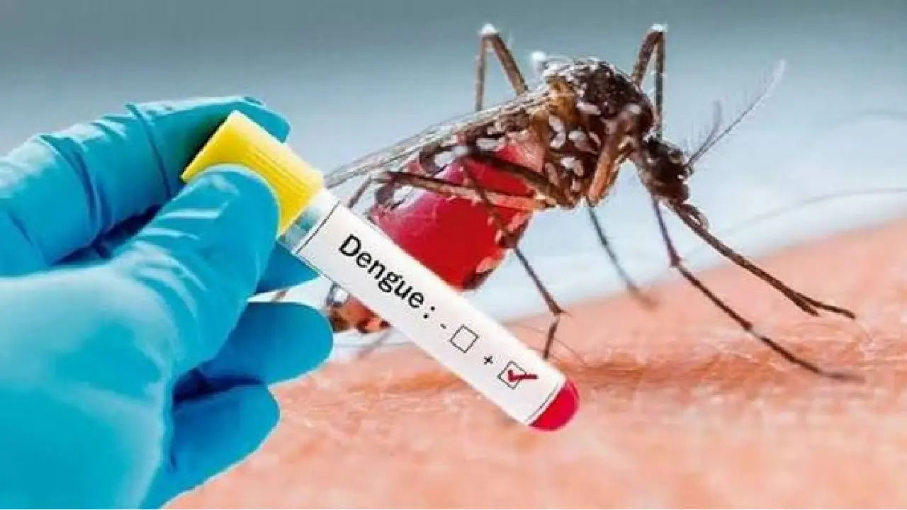 Imagen de referencia de una prueba de dengue.