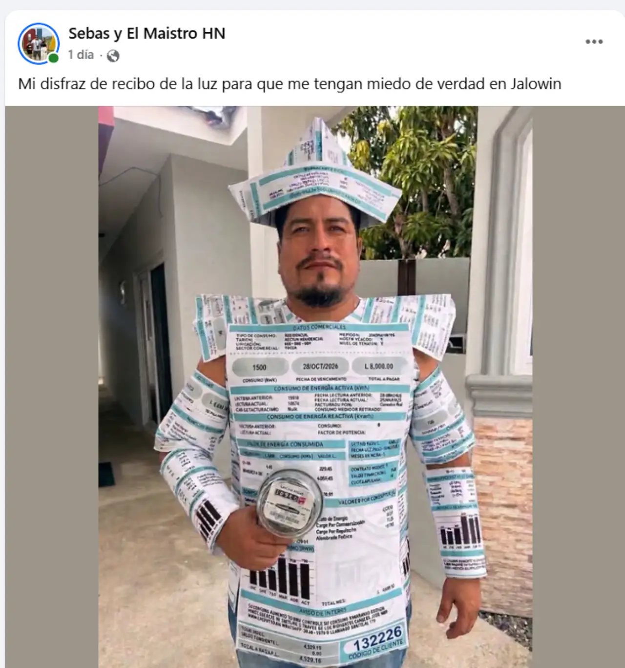 Disfraz de recibo de la luz
