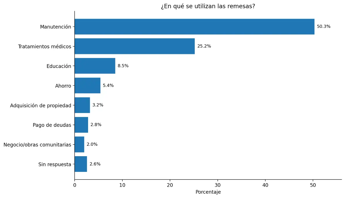 Gráfico sobre destino de remesas en Honduras 
