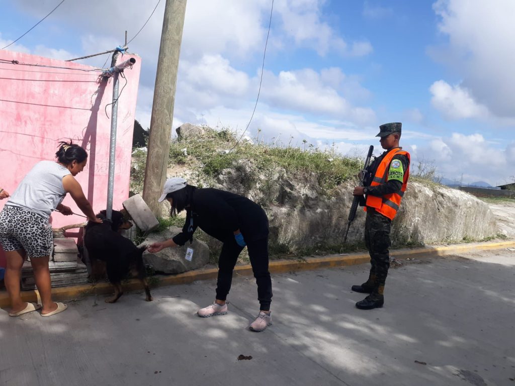 vacunación canina